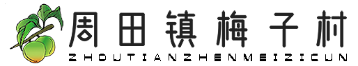 周田镇梅子村